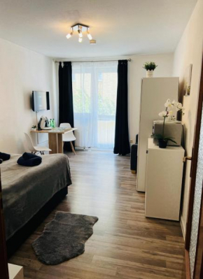 Gemütliches Apartment mit Balkon in zentraler Lage